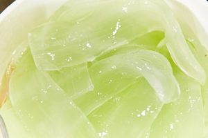 Le mucilage de l'aloe vera